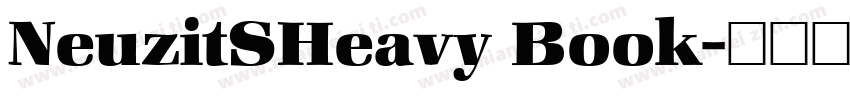 NeuzitSHeavy Book字体转换